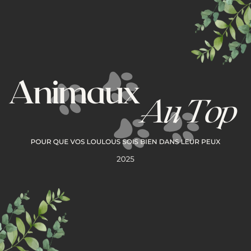 Animaux Au Top